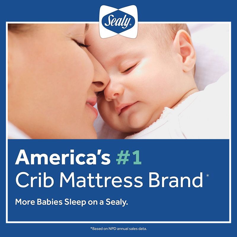 Sealy 52" Gray Cotton Innerspring Crib and Toddler Mattress