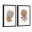 Growing On Boulders Diptych-746608765