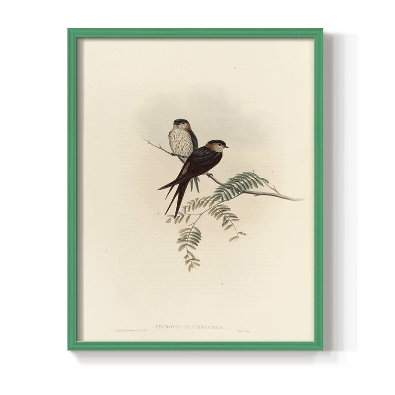 «Vintage Animal Print», impression encadrée en bois massif, H 21 po x l 17 po, Vert