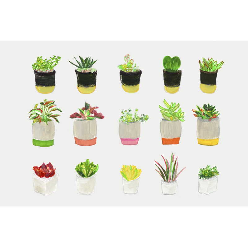 Quinze plantes grasses sur toile par Cartissi, H 8 po x l 12 po
