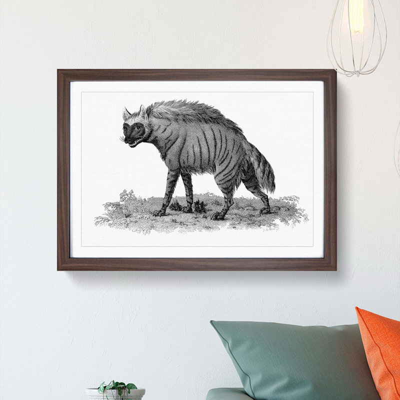 Striped Hyena in Black & White by George Shaw - Picture Frame Art Print on MDF, 27cm H x 36cm W x 2cm D, Walnut Framed