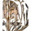 Applique murale en cristal 2 lumières Bask - Poussière d'or