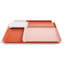 Powder Coated Steel Decorative Tray-23798510