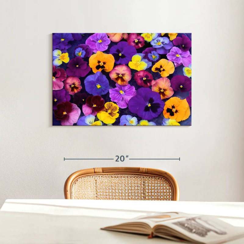 Pansy Colors
