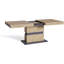 Datrick Extendable Oak Dining Table