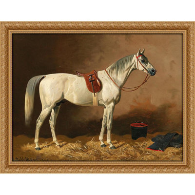 Grey in the Stable