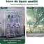 Display Cabinet-703793781