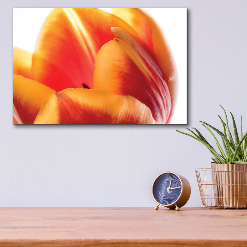 «Just A Peek» par Pamela Plummer, H 24 po x l 36 po x P 0,2 po