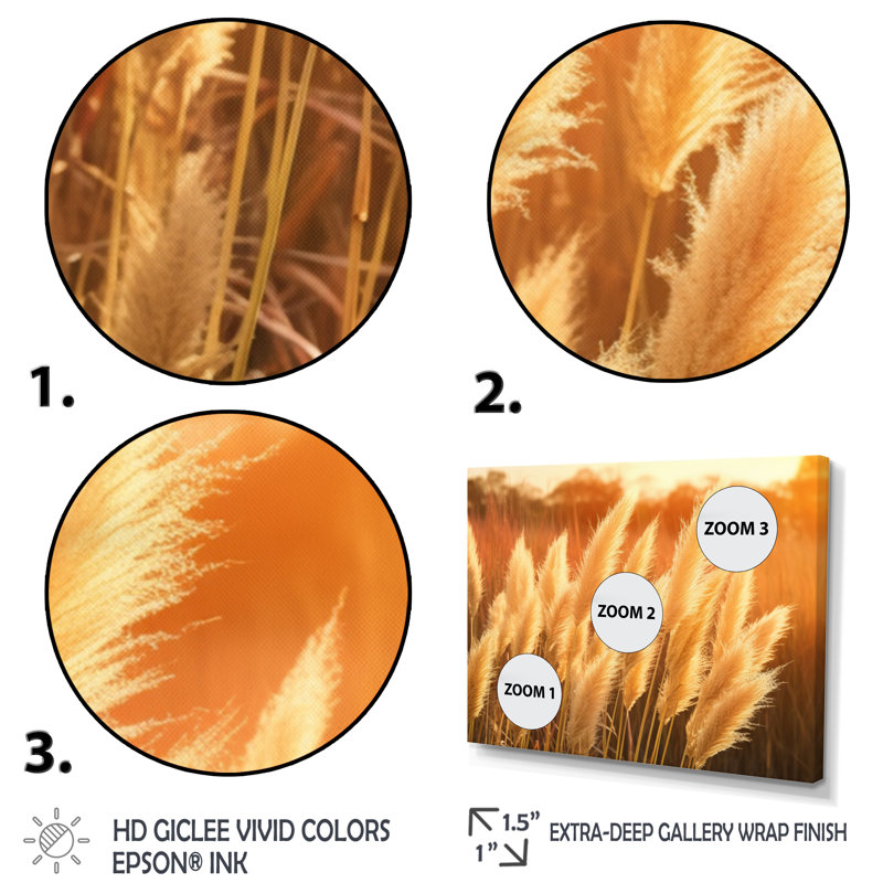 «White Pampas Meadows At Sunset» sur toile, H 12 po x l 20 po x P 1 po, Cadre simple argenté