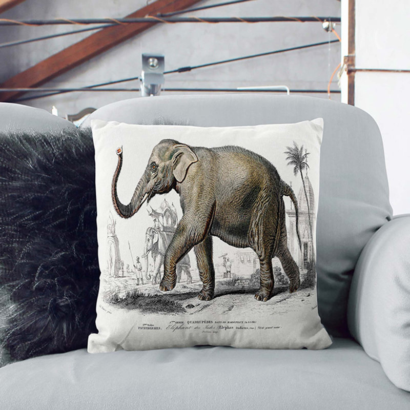 Square Throw Cushion, 55cm H x 55cm W x 20cm D
