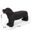 BANC MOG DOG