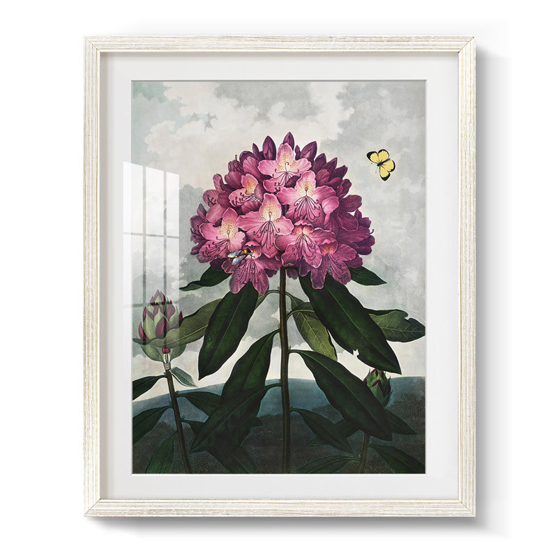 Vivaciously Changing II -Gallery Wrapped Canvas