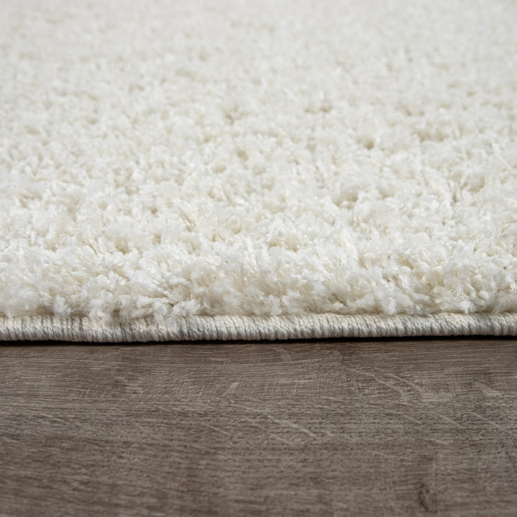 Epperson Solid Colour Shag Area Rug