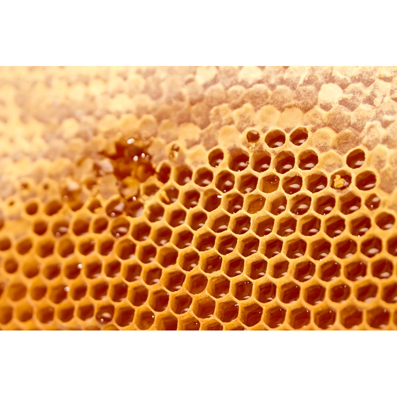 Fontelle nid d'abeille par Jordan_Rusev, H 8 po x l 12 po