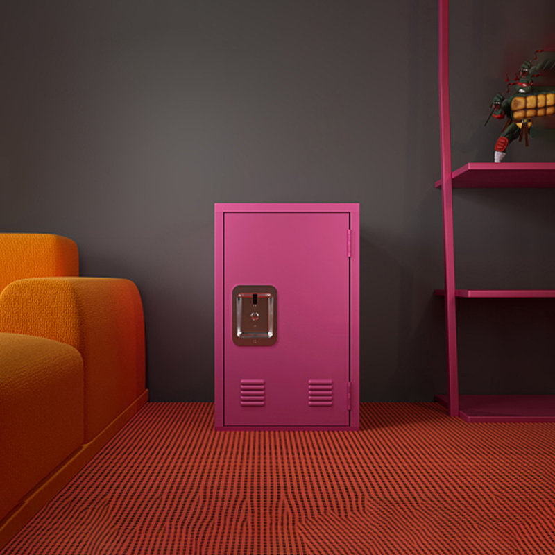 Armoire de rangement Locker, armoire de rangement en métal avec 1 porte