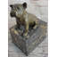15 bouledogue anglais avec sculpture en bronze