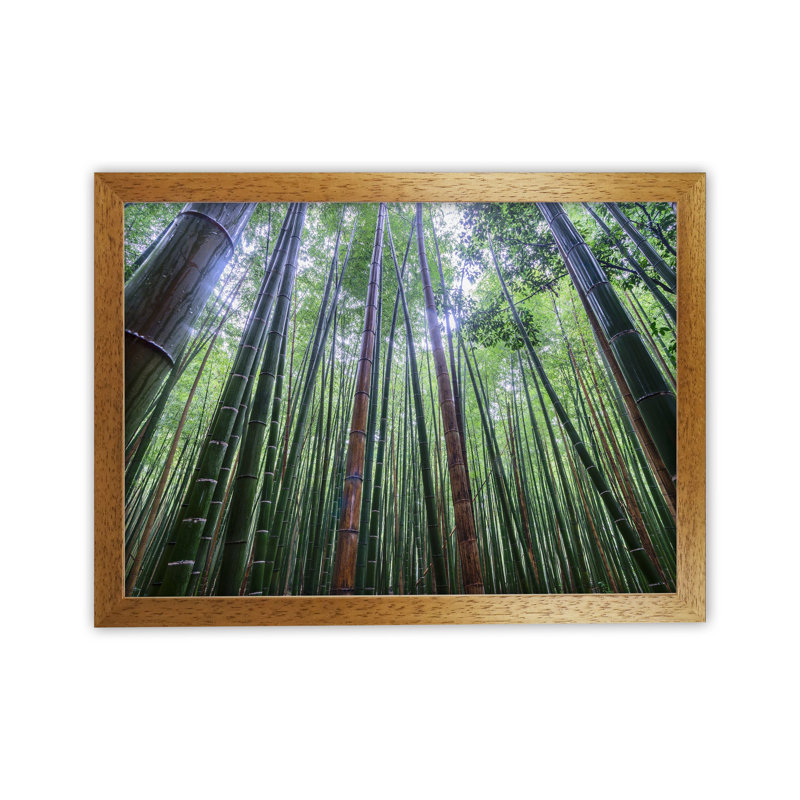 Tall by Karsten Wrobel - Print on Canvas, Brown Framed, 25cm H x 34cm W x 3cm D
