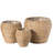 Pot Planter
