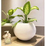 Florence Pot Planter