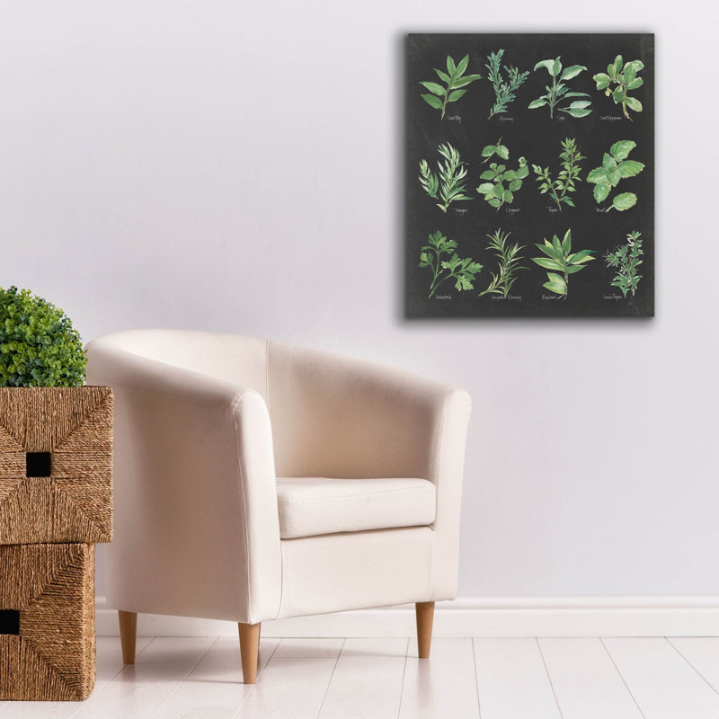 Lark Manor 'Herb Chart On Black' by Chris Paschke Canvas Wall Art, 26" x 30"