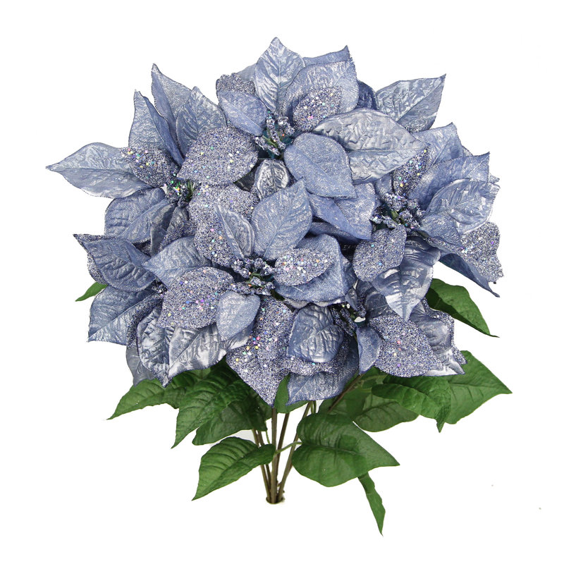 Arbuste faux poinsettias à 7 tiges, Pervenche