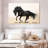 Black Stallion-107670676