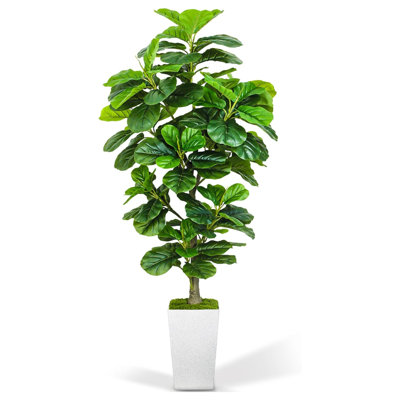 72" Faux Fiddle Leaf Fig Tree In White Planter