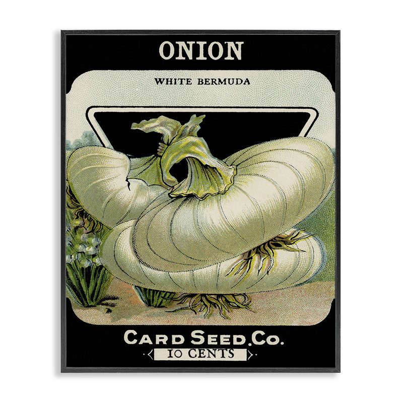 Oignon de jardinage rétro, estampe numérique, design par Lil 'Rue, H 14 po x l 11 po, Giclée encadrée noir minuit