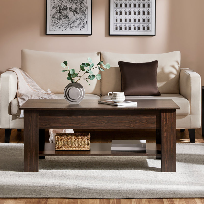 Table basse Ajeem, Espresso, H 16,5 po x L 39 po x l 20 po