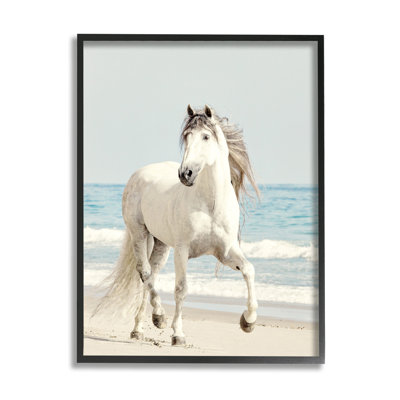 " Galloping White Stallion Wild Horse Sun Bleached Coast "