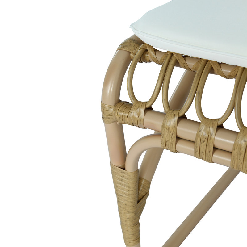 Chaises de salle à manger d'extérieur en osier jaune pe (ensemble de 2) - coussins lavables, structure en fer pour la cour arrière