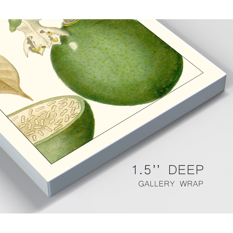 « Turpin Exotic Botanical VIII », reproduction d’art sur toile tendue, H 36 po x l 24 po x P 1 po