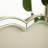 24'' Fleuron Mirror