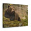 Art mural majestueux avec ours brun-1900470945