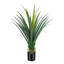 Fausse plante d'agave en pot-1602638697-1602638699