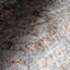 Tapis lavable à la machine Bungalow Rose Iana Medallion SplashGuard-2046658526