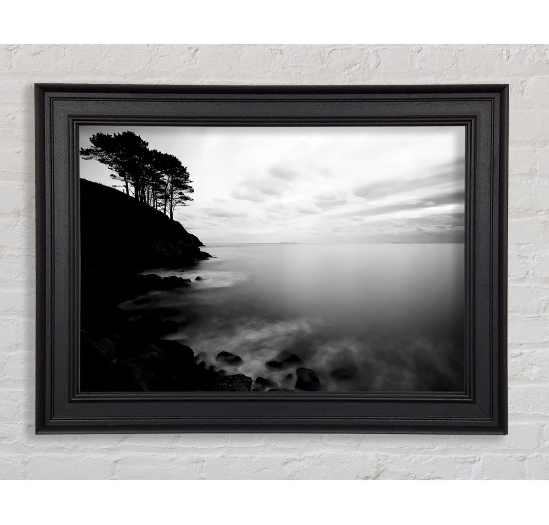 Gerahmtes Leinwandbild Tree Top Ocean Calm B N W