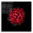 " In Red " by PhotoINC Studio-1379295312