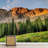 Mountain Range Pine Tree Country Field-88769971