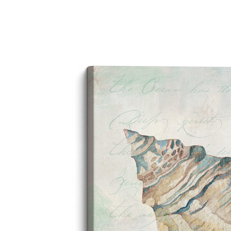 «Seashells II» par Mollie B., reproduction d'art, L 36 x H 36, Ne s’applique pas, Unframed Canvas