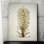 " Botanical Plate VIIII " Graphic Art Print