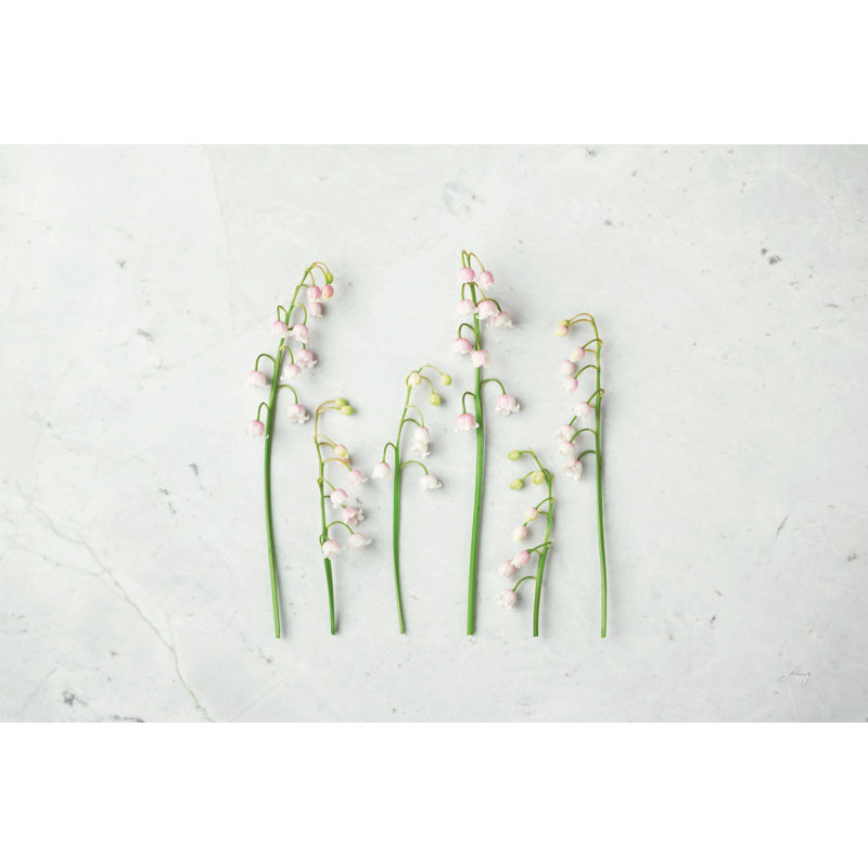 May Bell Blooms by Felicity Bradley - Wrapped Canvas Print, 30cm H x 46cm W