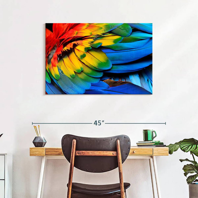 Brampt Macaw Bird Feathers, 24" H x 36" W