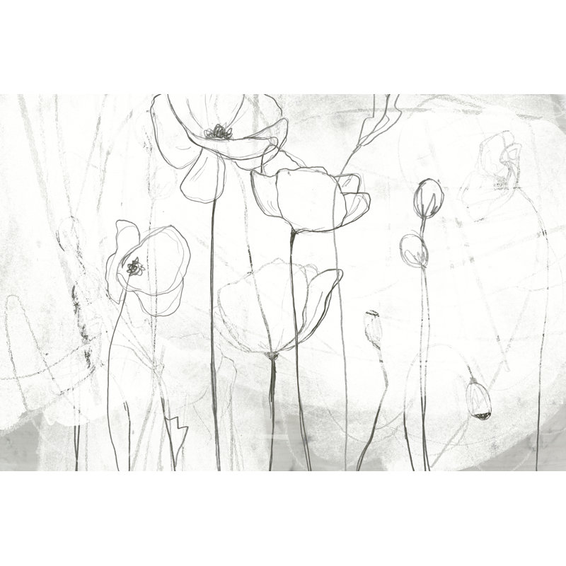 Poppy Sketches I by June Erica Vess - Painting, 51 cm H x 76 cm W, Wrapped Canvas