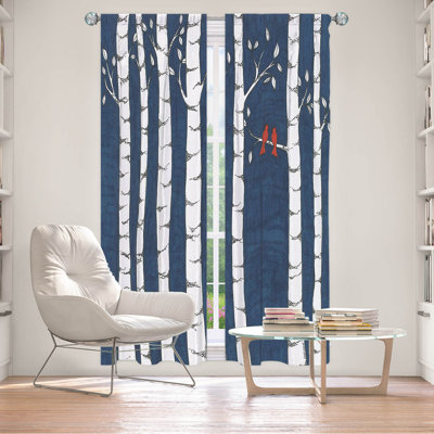 Room Darkening Curtain Pair