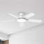 Ventilateur de plafond 52 pouces avec lumières et télécommande (ensemble de 2)-65749824
