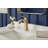 Vaughn Single Hole Bathroom Faucet with Drain Assembly-53545417
