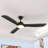 Mercer41 56 Inch Gold Ceiling Fan With Light 3-Blade Modern Smart Reversible Ceiling Fan-896544179