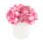 Rose sélectionné