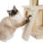 34-inch multi-layer plush cat tree-1156087194